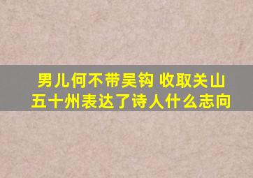 男儿何不带吴钩 收取关山五十州表达了诗人什么志向